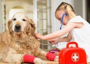 Girl playing doctor with dog