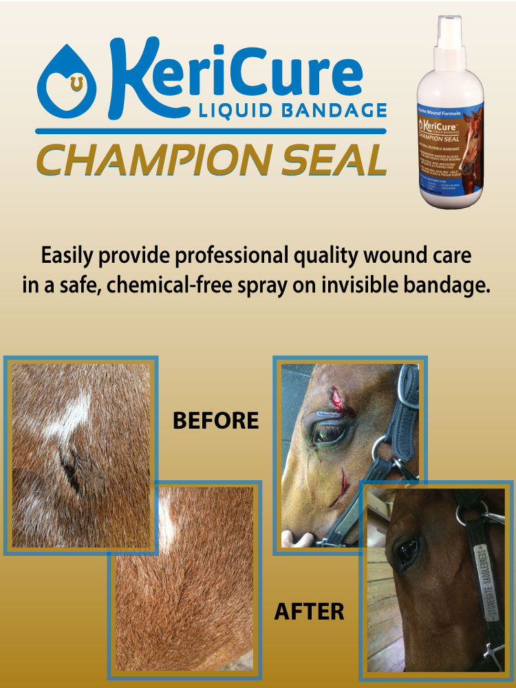 Champion seal before after image